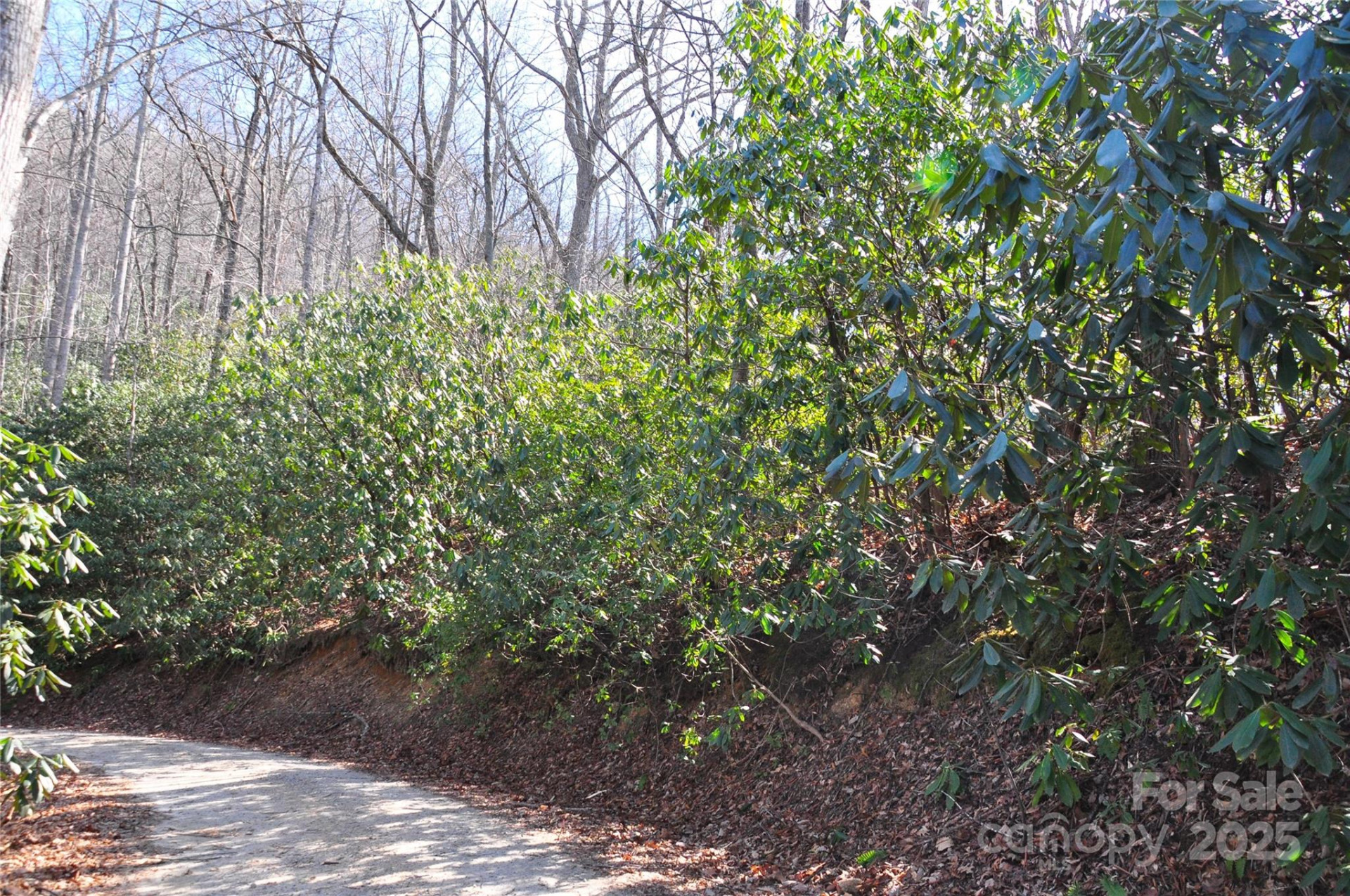 0 Stoneledge Road - Photo 9