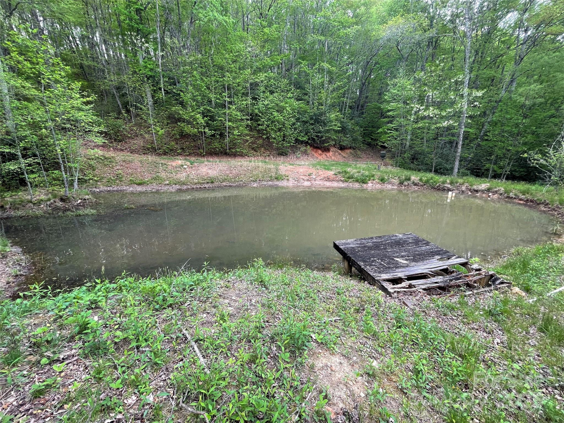 930 Copperhead Cove - Photo 12