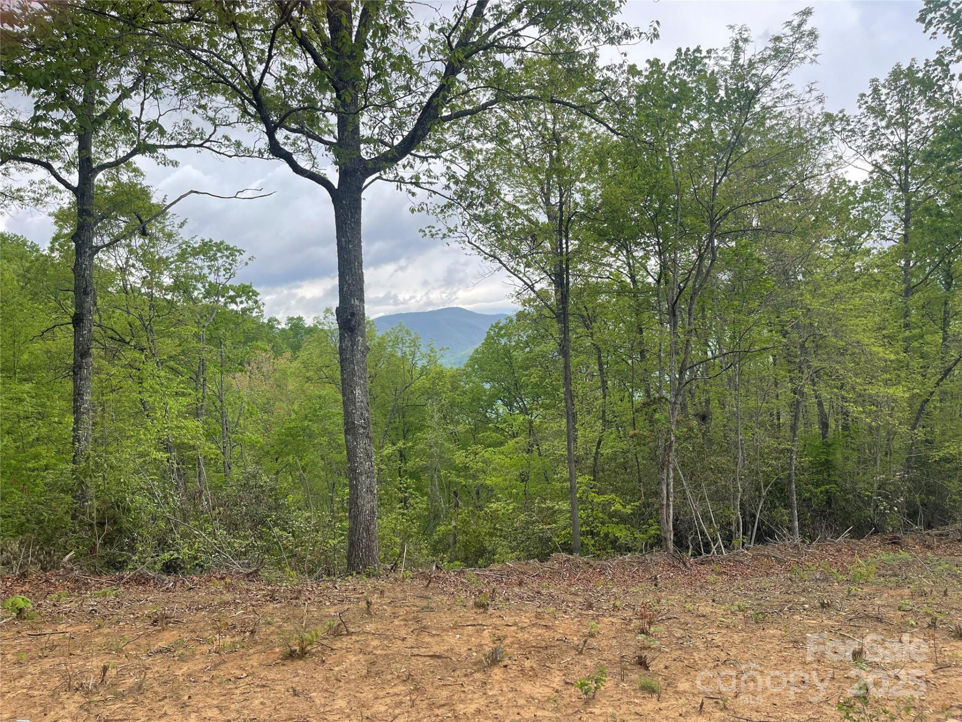 930 Copperhead Cove - Photo 13