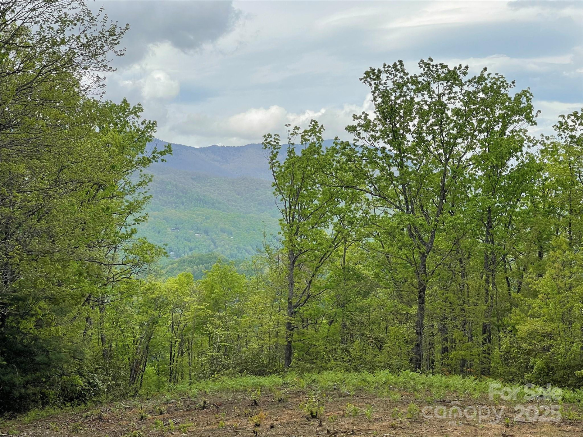 930 Copperhead Cove - Photo 16