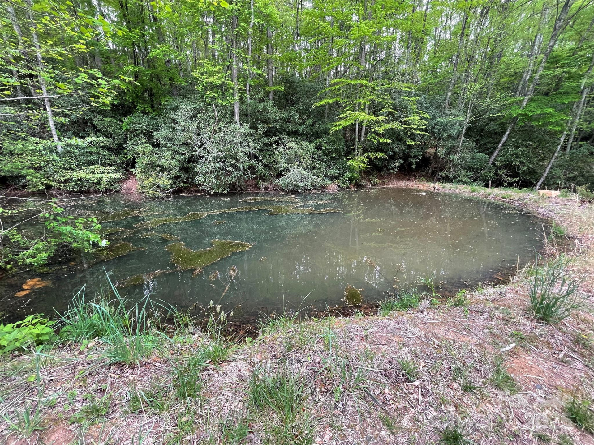 930 Copperhead Cove - Photo 17