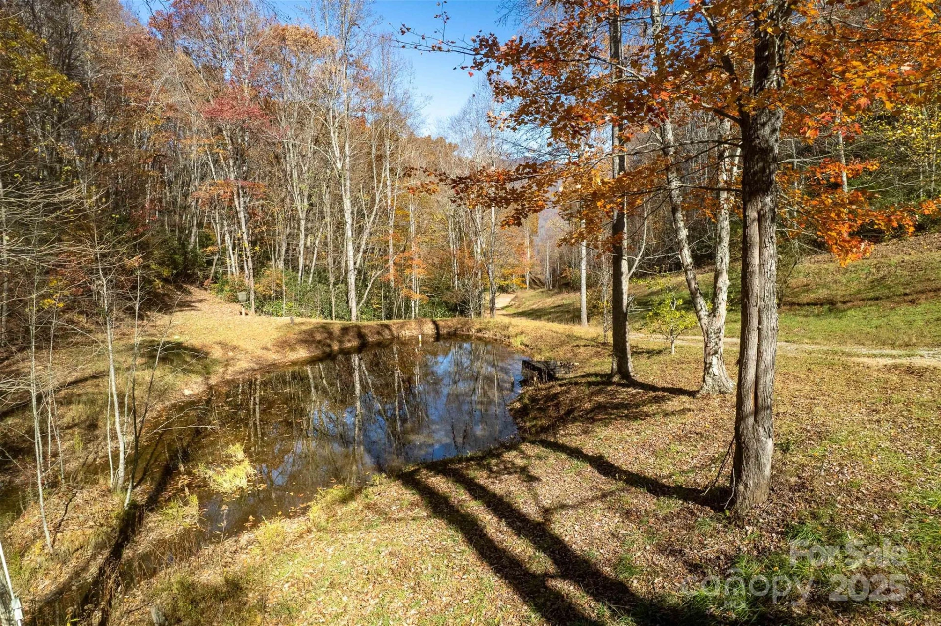 930 Copperhead Cove - Photo 3