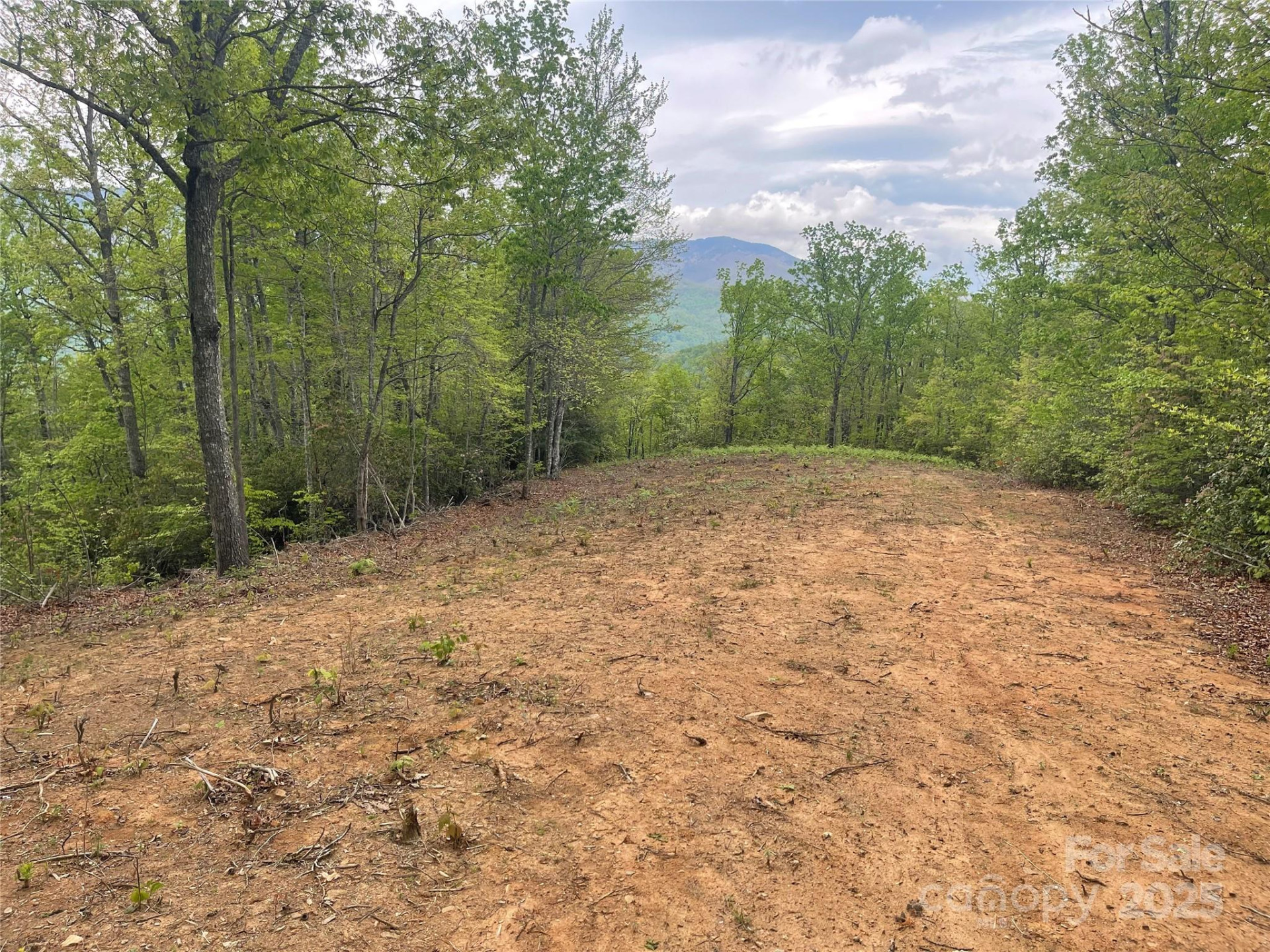 930 Copperhead Cove - Photo 36