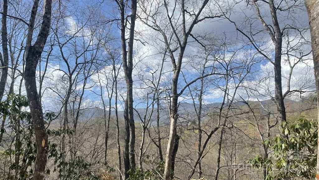 930 Copperhead Cove - Photo 41