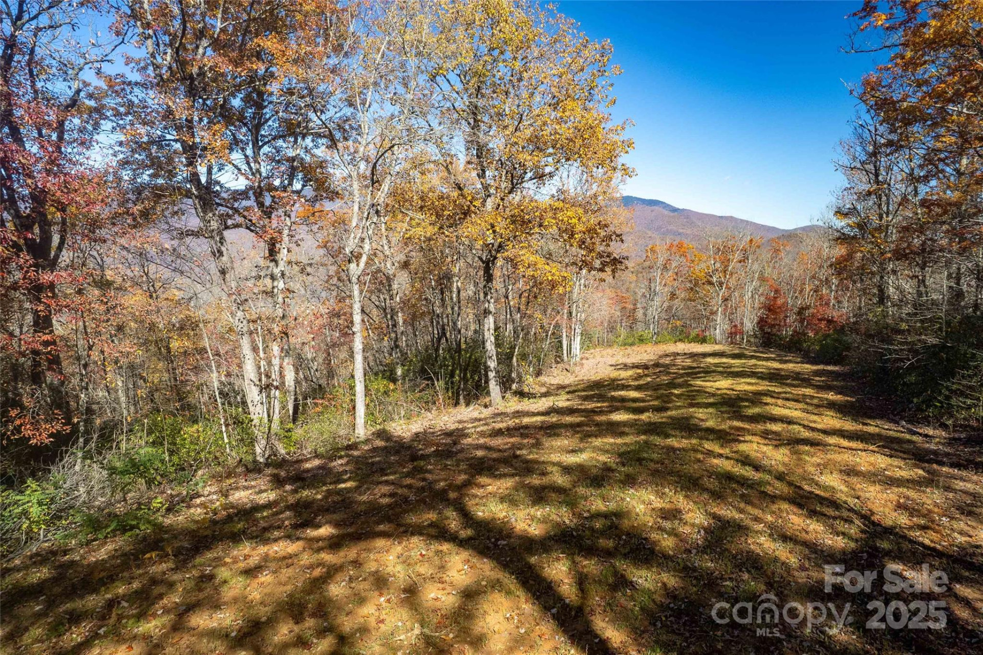 930 Copperhead Cove - Photo 48