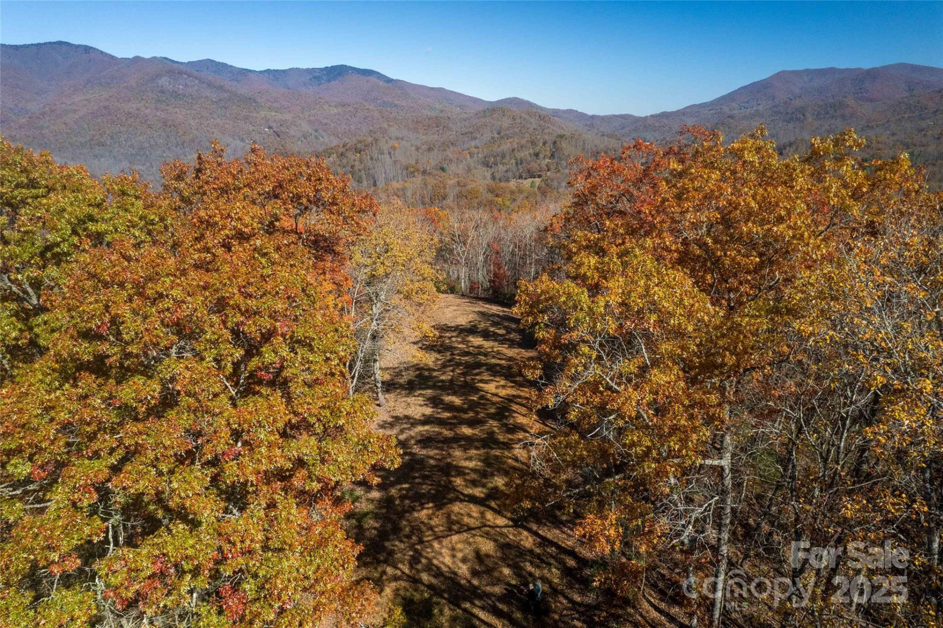 930 Copperhead Cove - Photo 9