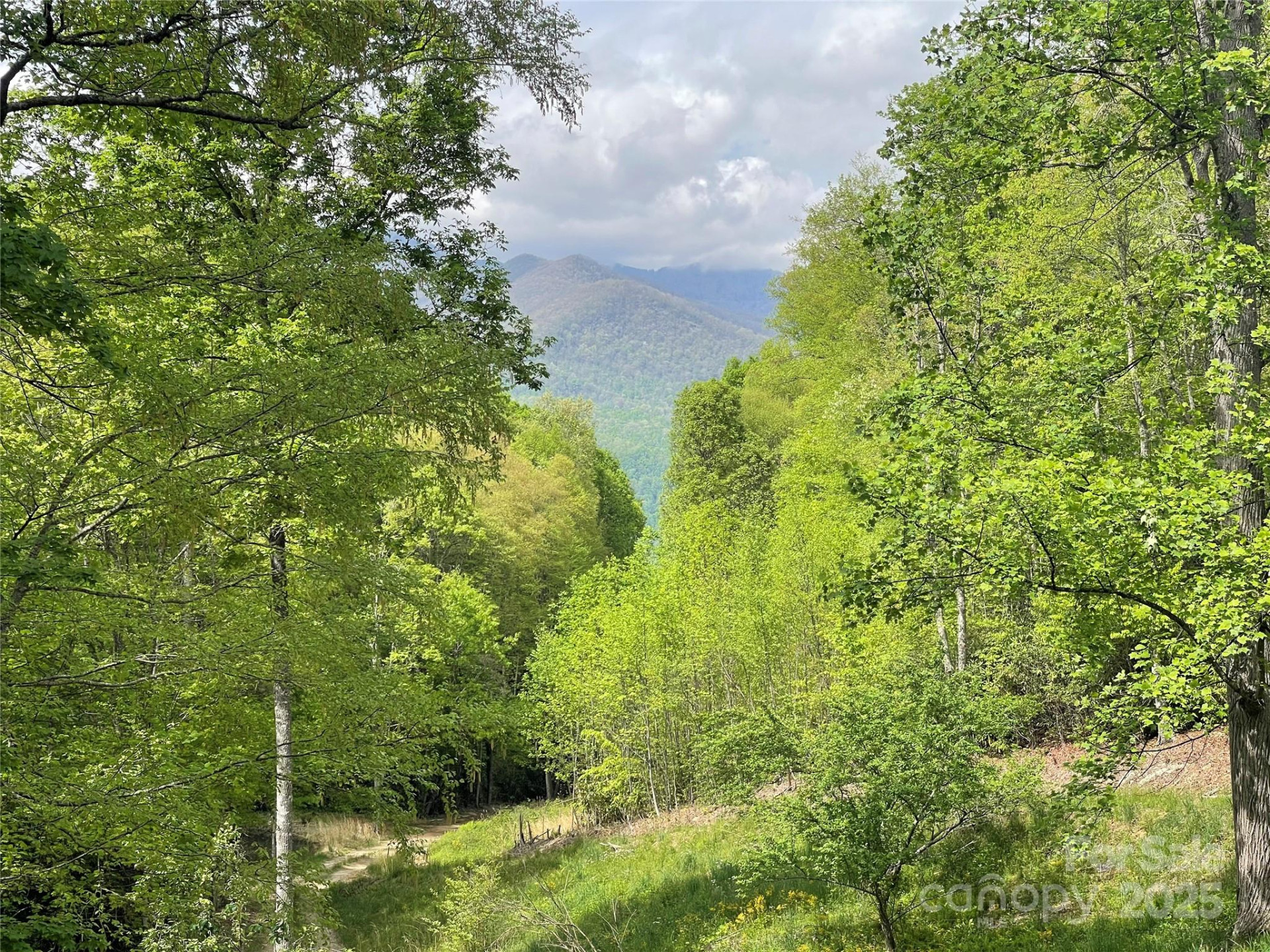 930 Copperhead Cove - Photo 10