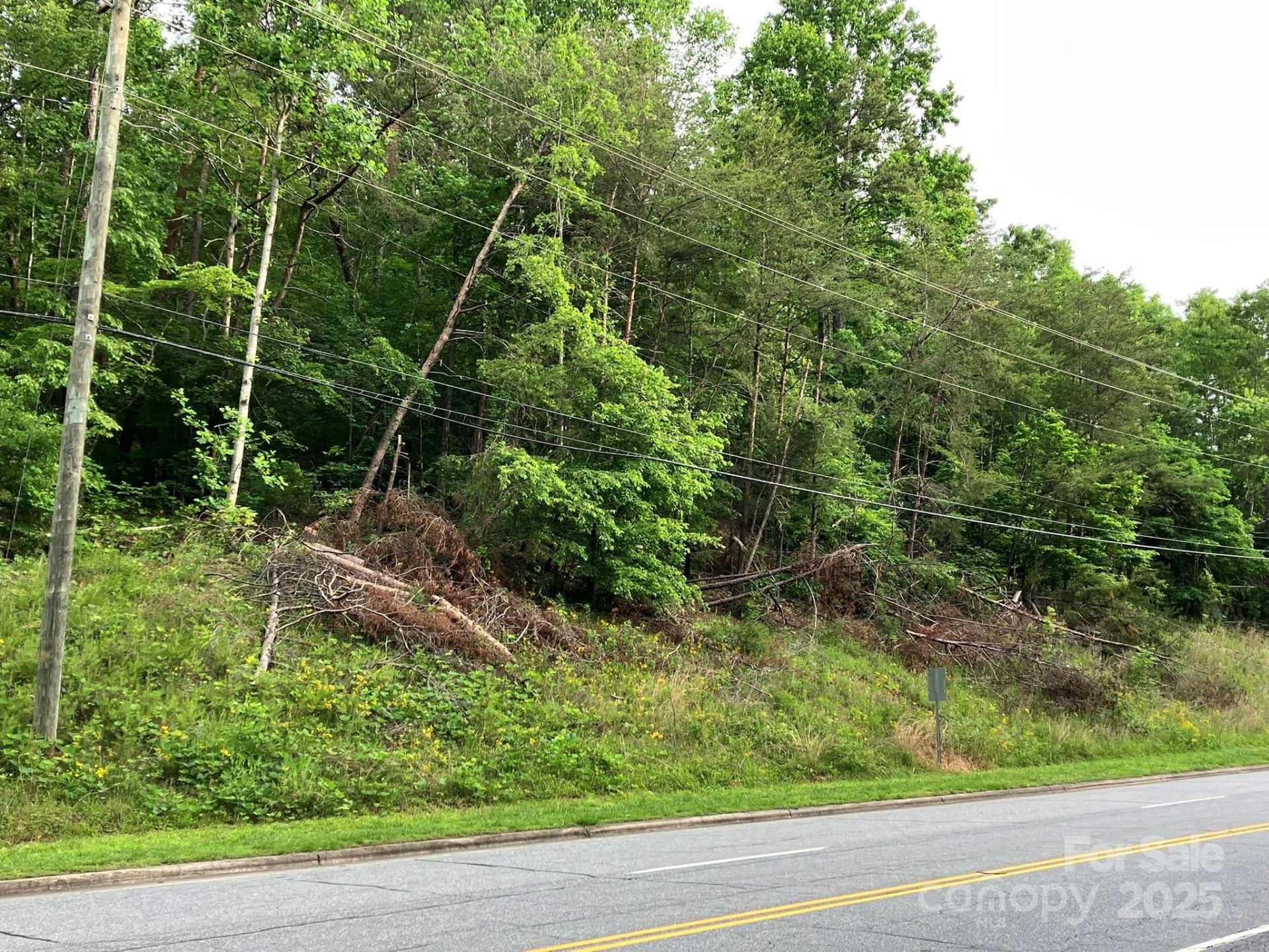 0 Oak Street - Photo 6