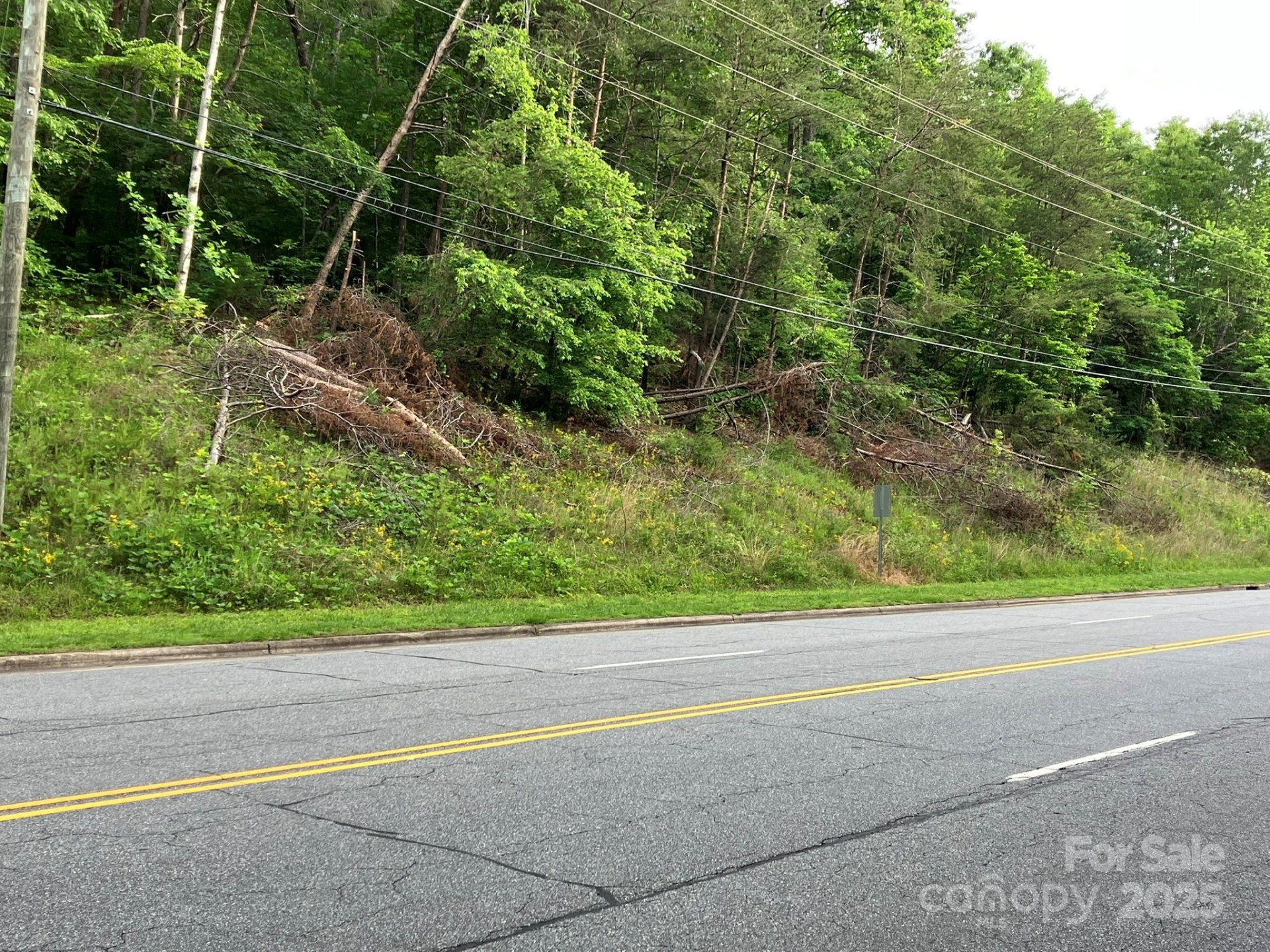 0 Oak Street - Photo 7