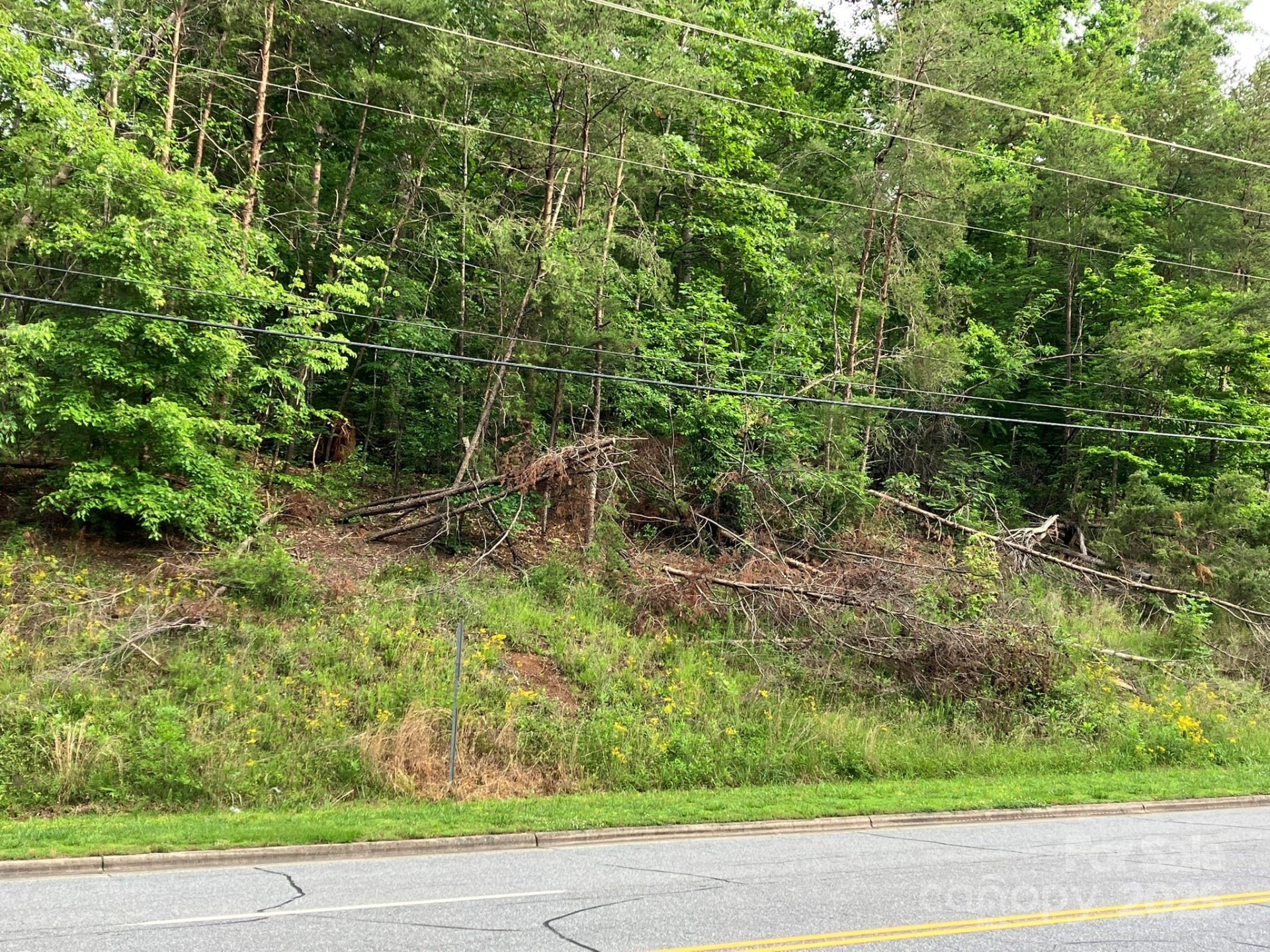 0 Oak Street - Photo 9