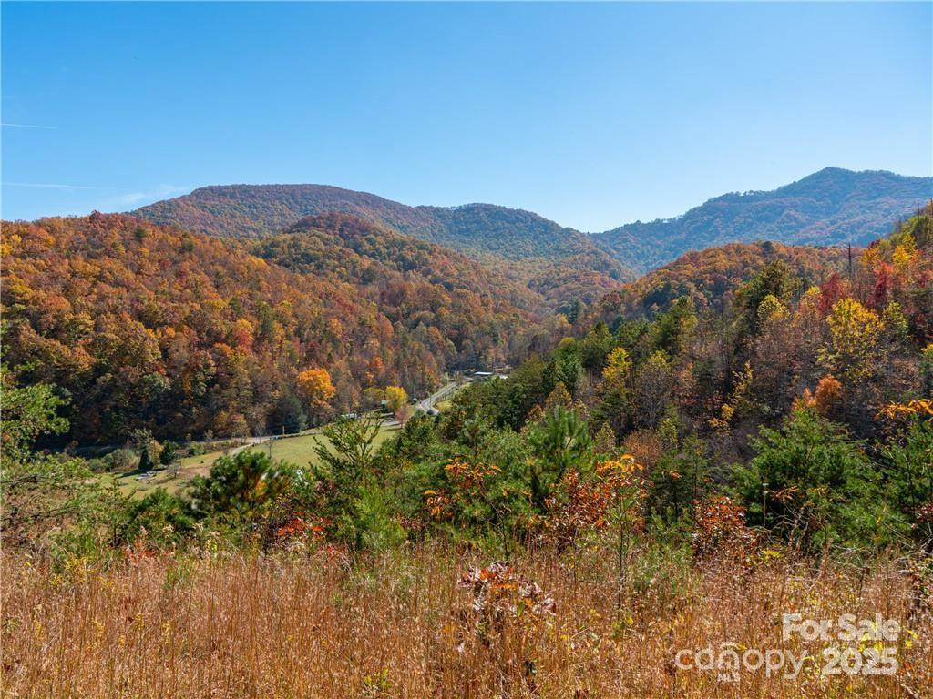 99999 Turkey Creek Road #1 & 2