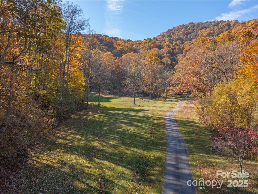 99999 Turkey Creek Road #1 & 2 - Photo 12