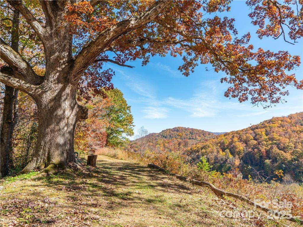 99999 Turkey Creek Road #1 & 2 - Photo 13