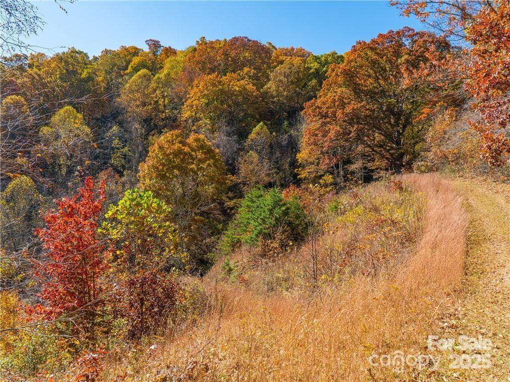 99999 Turkey Creek Road #1 & 2 - Photo 14