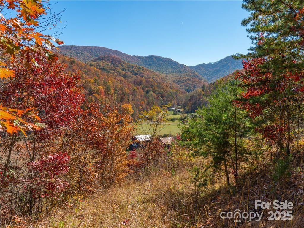 99999 Turkey Creek Road #1 & 2 - Photo 15