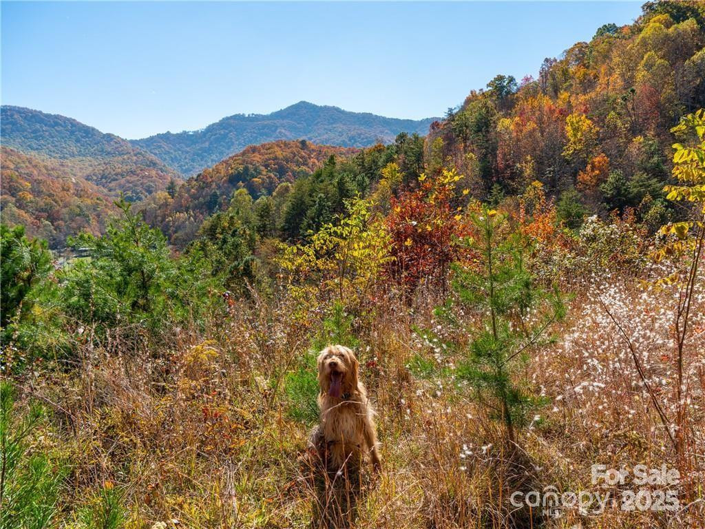 99999 Turkey Creek Road #1 & 2 - Photo 16