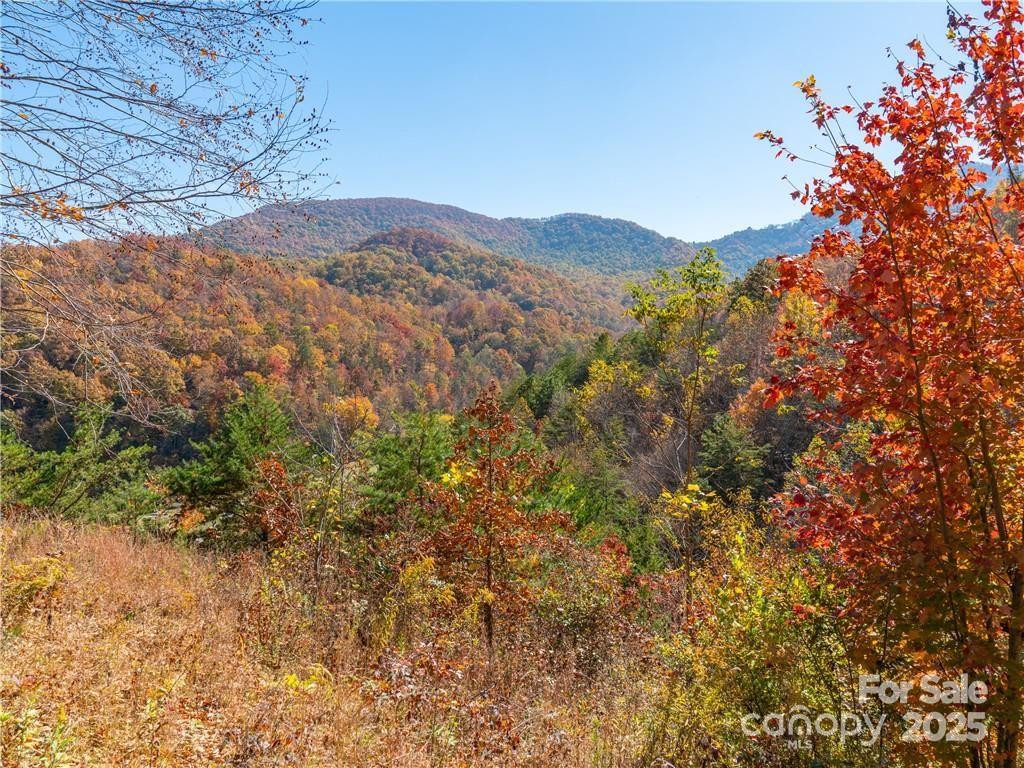 99999 Turkey Creek Road #1 & 2 - Photo 17