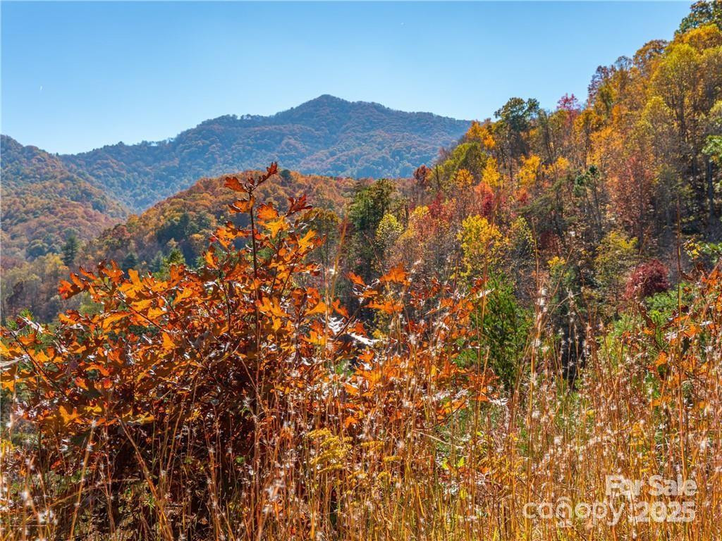 99999 Turkey Creek Road #1 & 2 - Photo 19