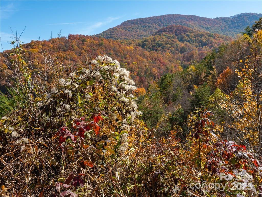 99999 Turkey Creek Road #1 & 2 - Photo 20