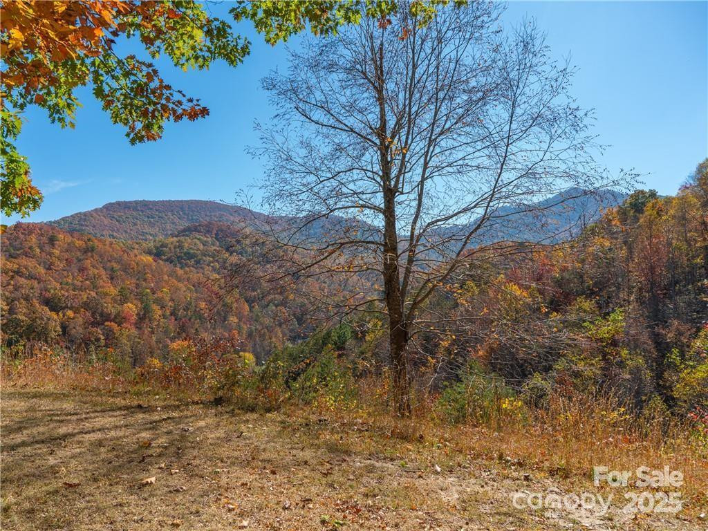 99999 Turkey Creek Road #1 & 2 - Photo 3