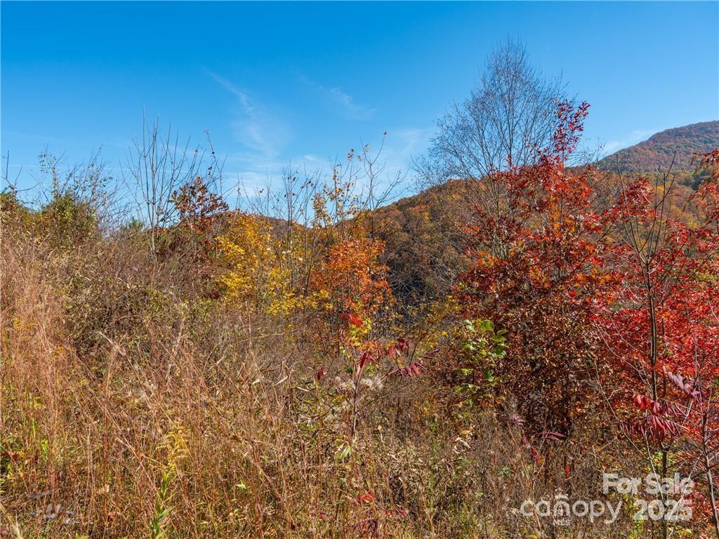 99999 Turkey Creek Road #1 & 2 - Photo 21