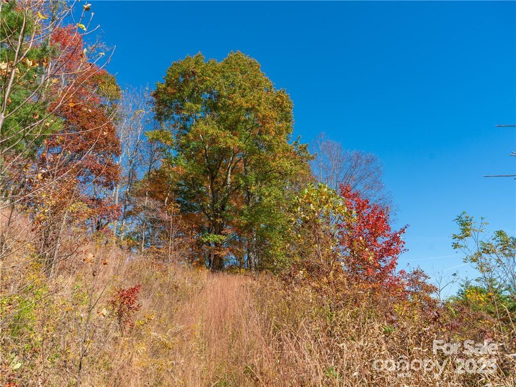 99999 Turkey Creek Road #1 & 2 - Photo 22