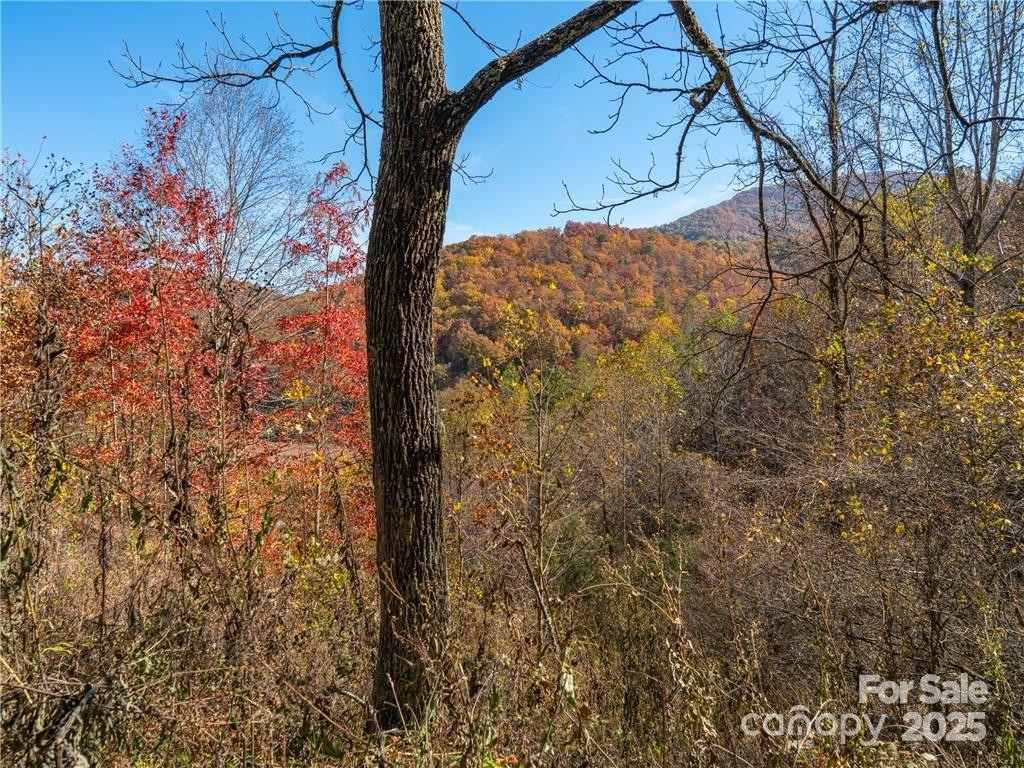 99999 Turkey Creek Road #1 & 2 - Photo 24