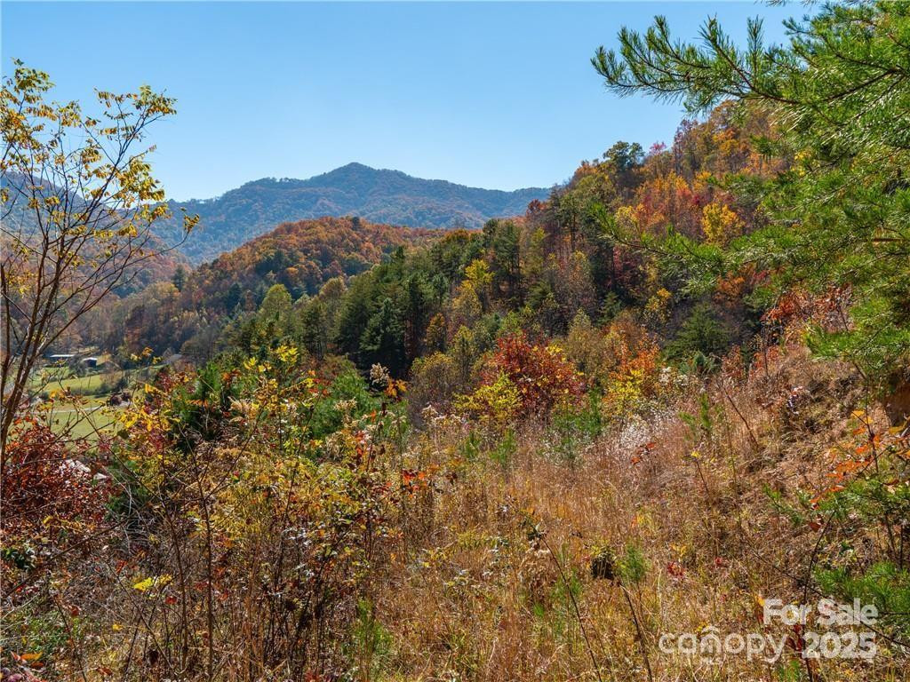 99999 Turkey Creek Road #1 & 2 - Photo 25