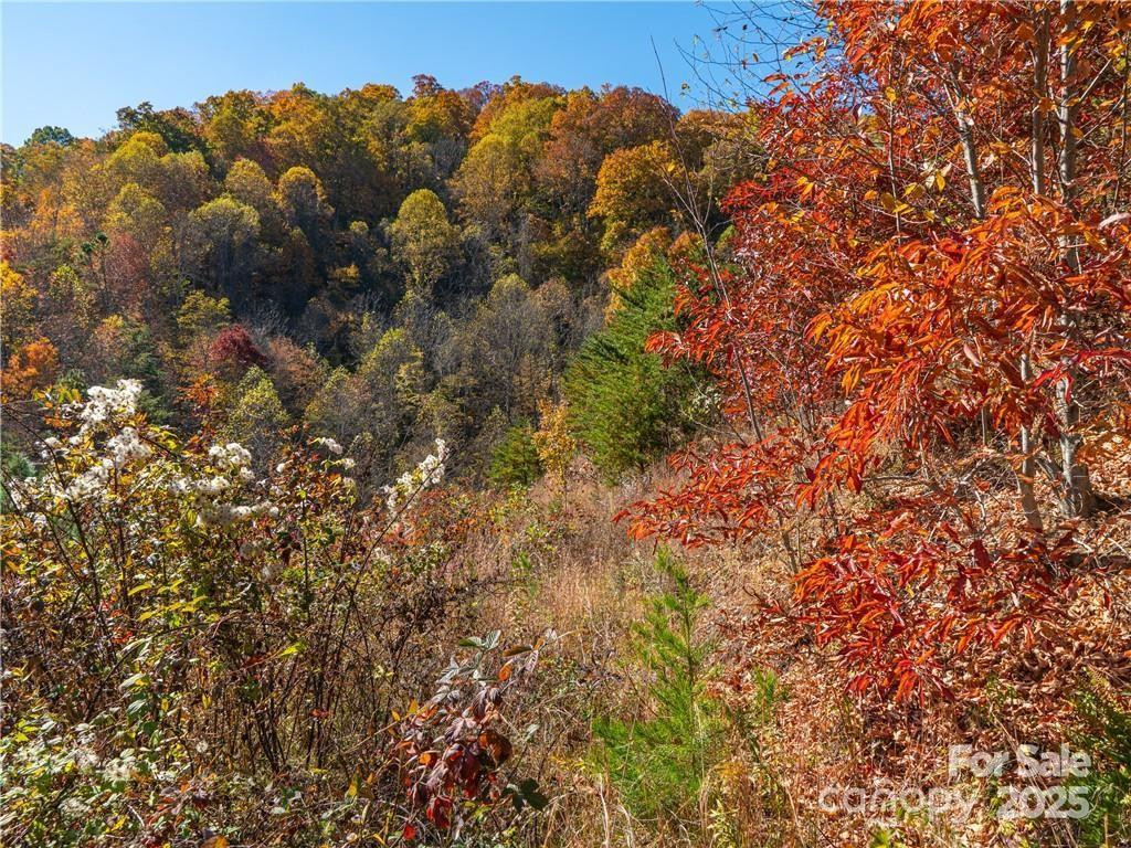 99999 Turkey Creek Road #1 & 2 - Photo 26