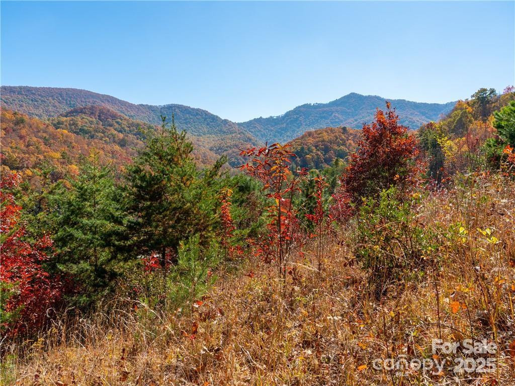 99999 Turkey Creek Road #1 & 2 - Photo 27