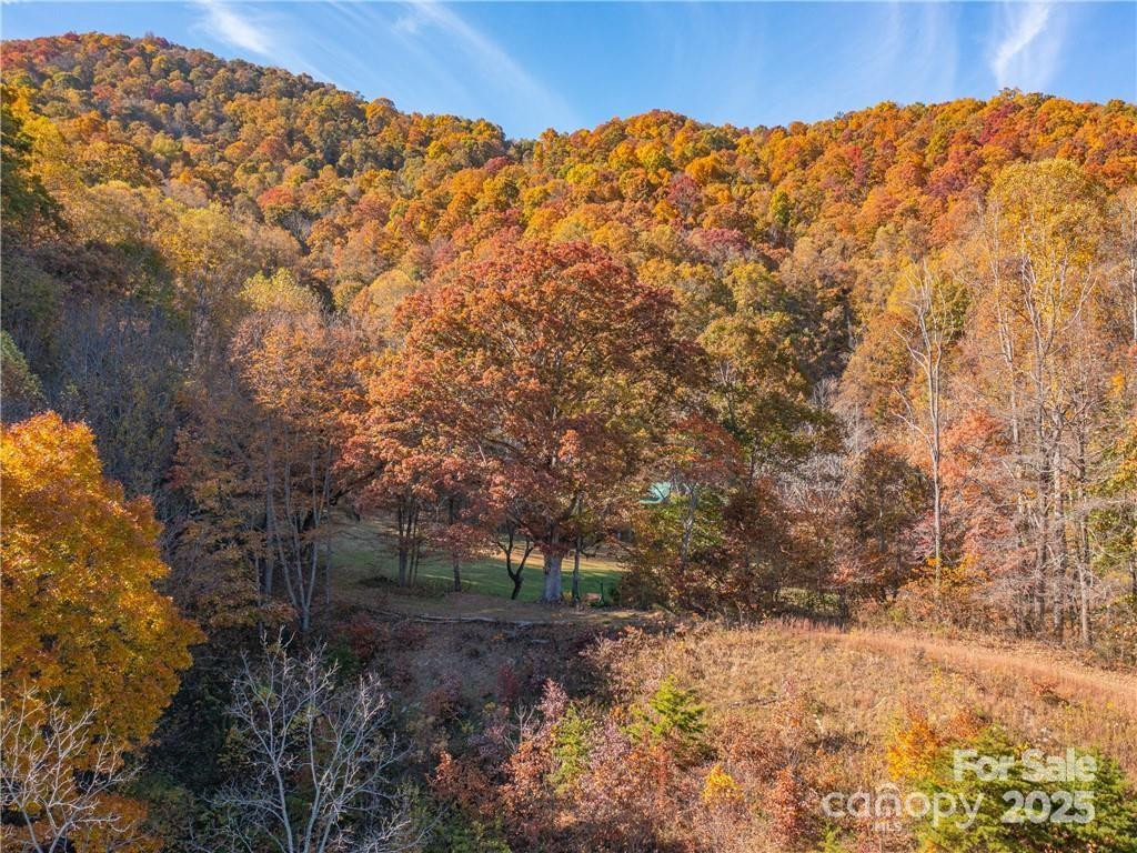 99999 Turkey Creek Road #1 & 2 - Photo 28