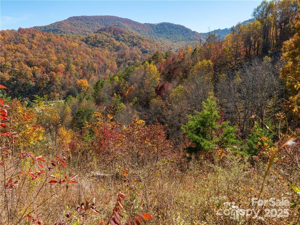 99999 Turkey Creek Road #1 & 2 - Photo 30