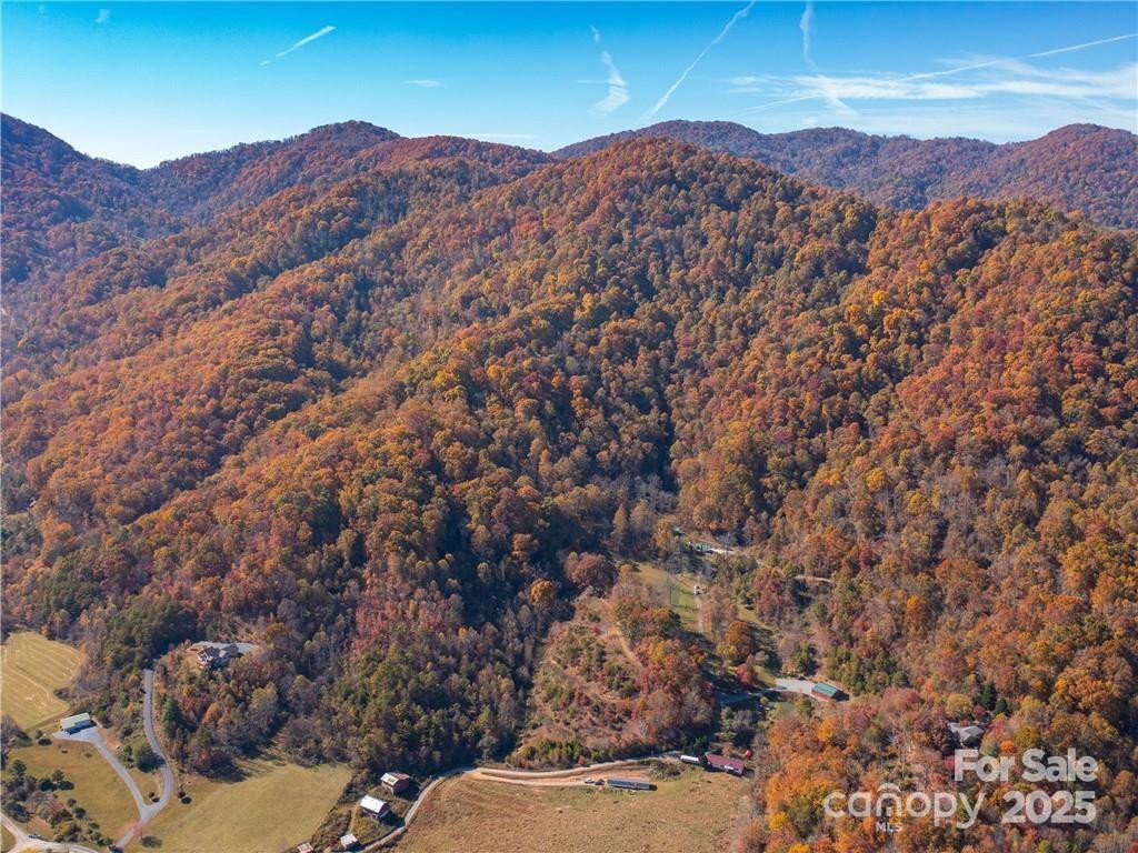 99999 Turkey Creek Road #1 & 2 - Photo 4