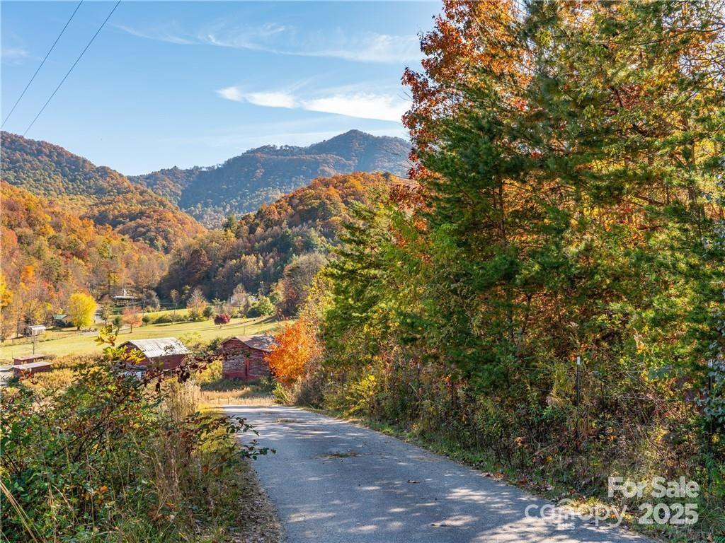 99999 Turkey Creek Road #1 & 2 - Photo 8