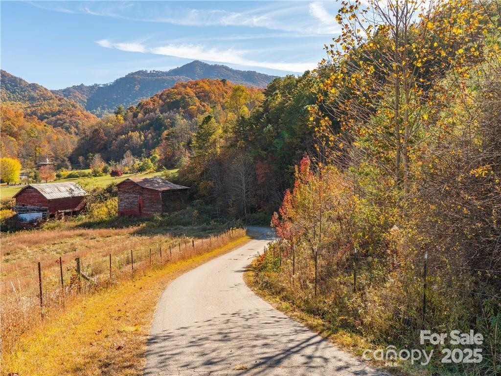 99999 Turkey Creek Road #1 & 2 - Photo 9