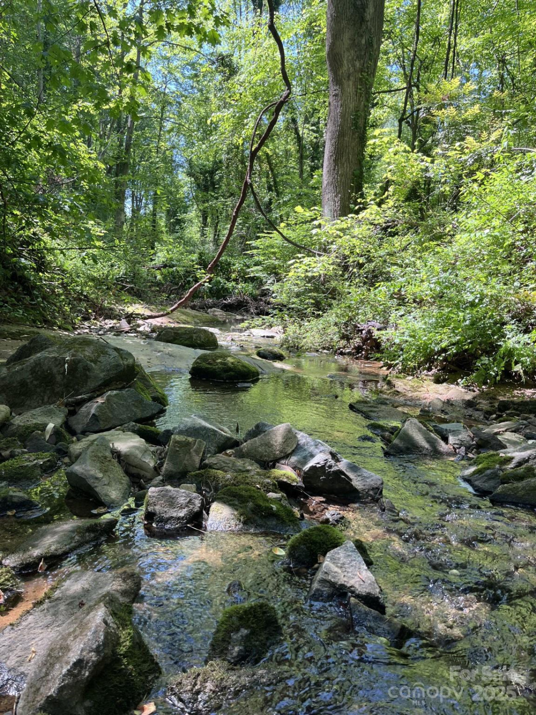 231 Davis Drive - Photo 27