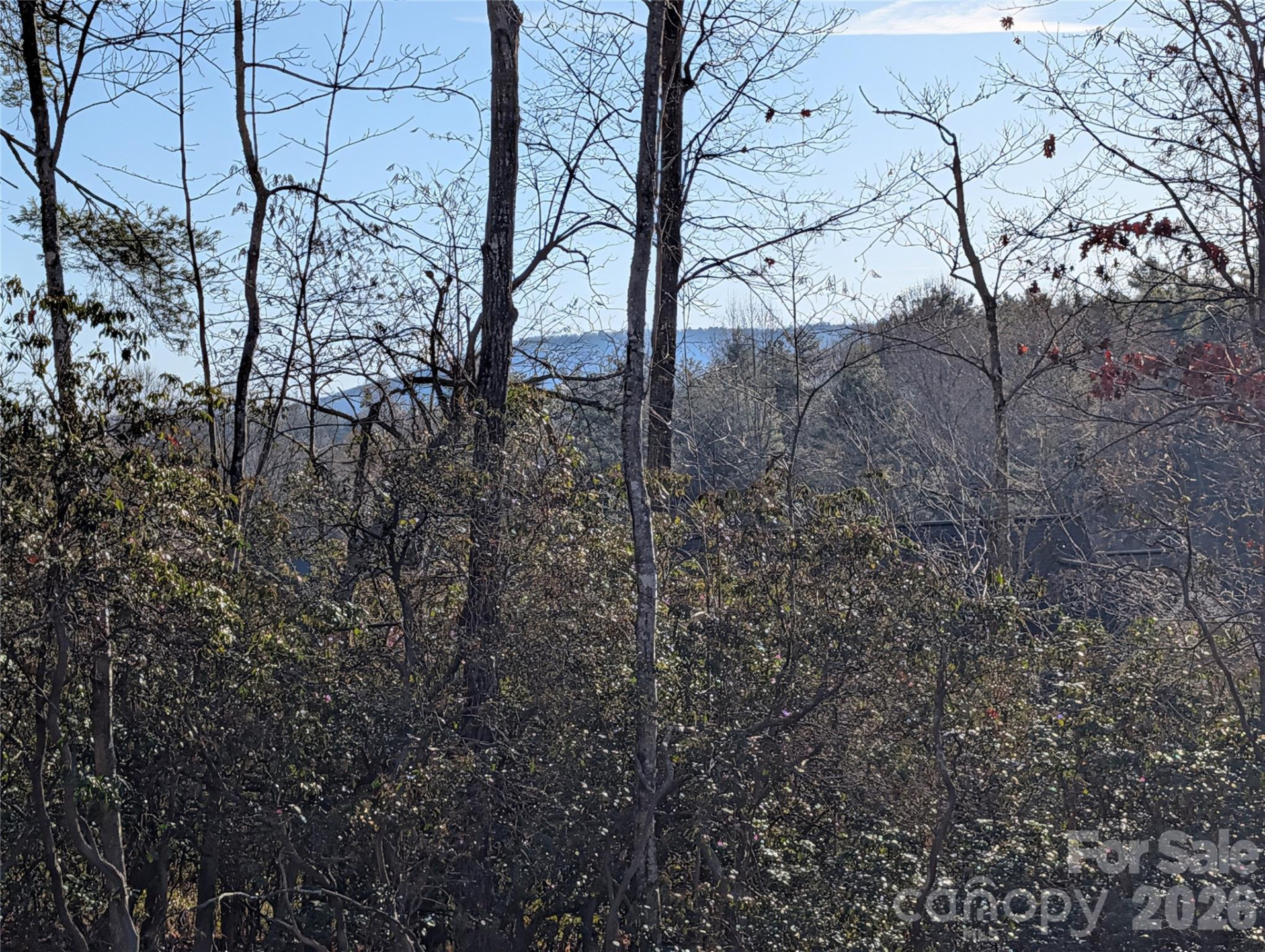 00 Winterberry Drive #54