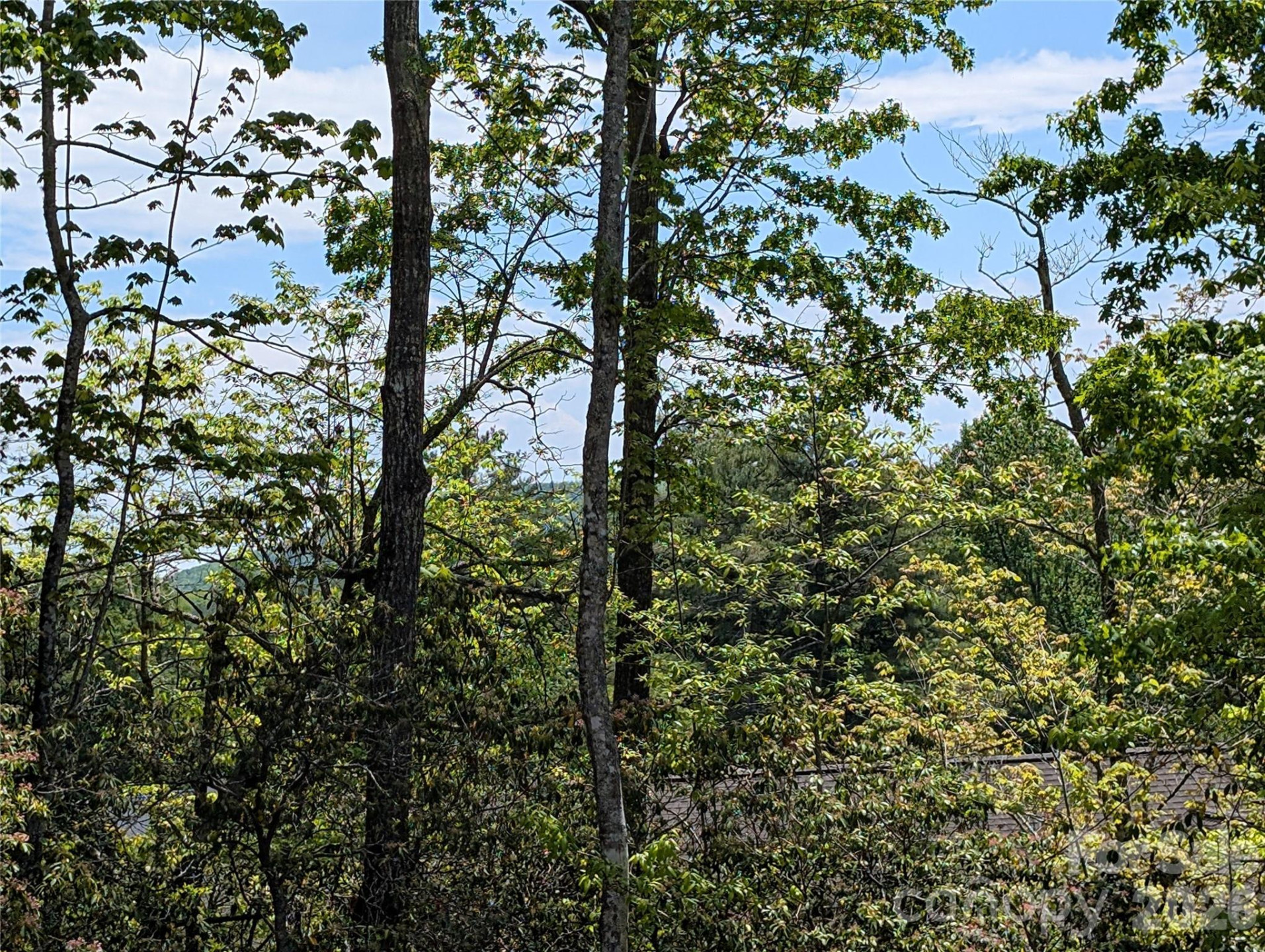 00 Winterberry Drive #54 - Photo 4