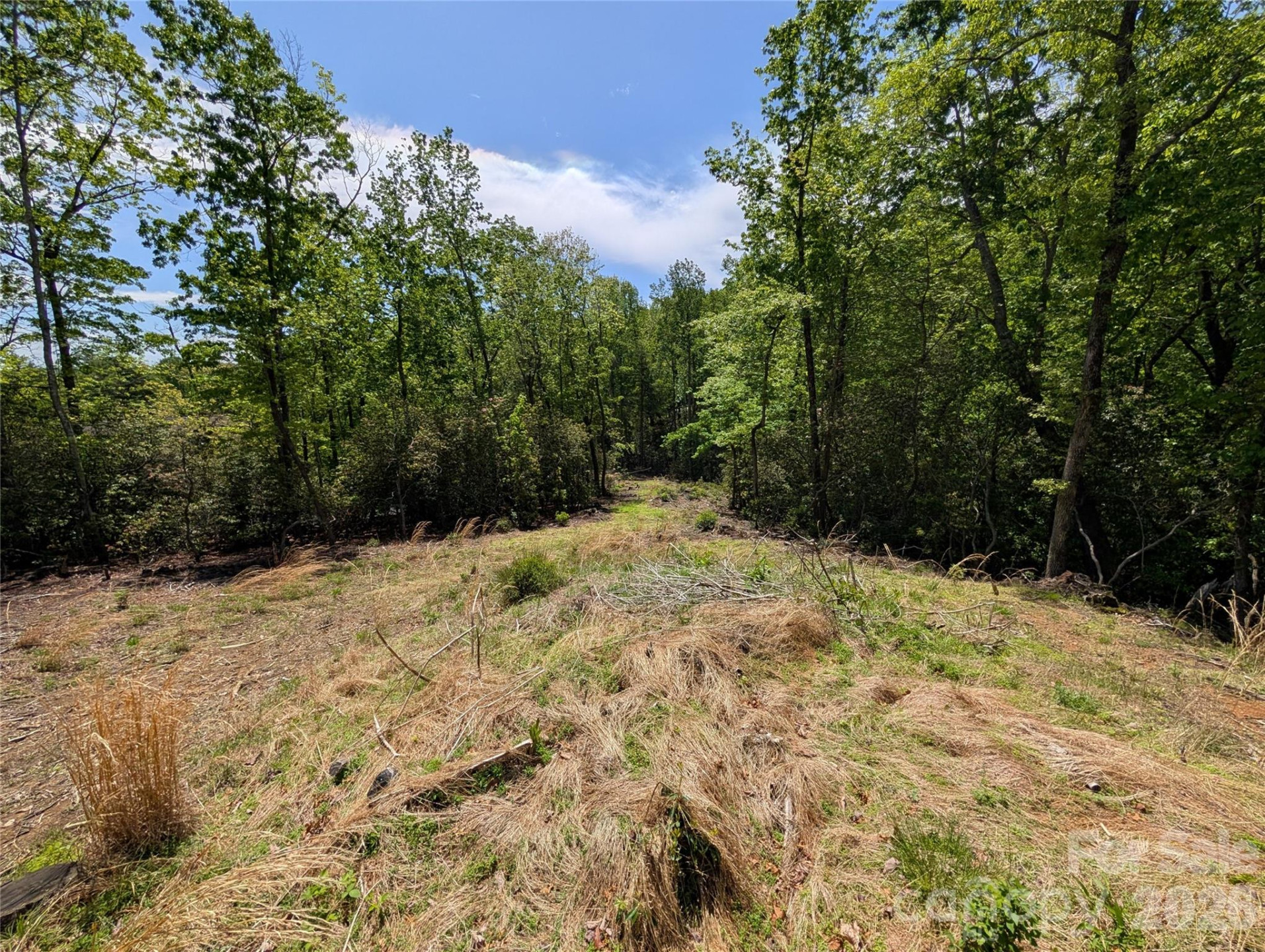 00 Winterberry Drive #54 - Photo 5