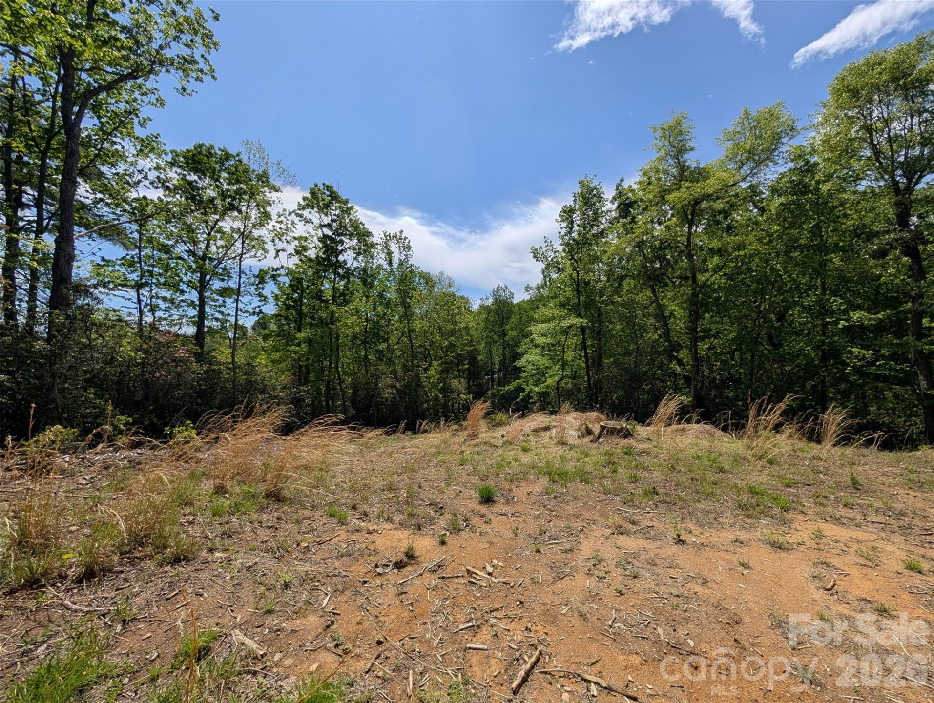 00 Winterberry Drive #54 - Photo 6