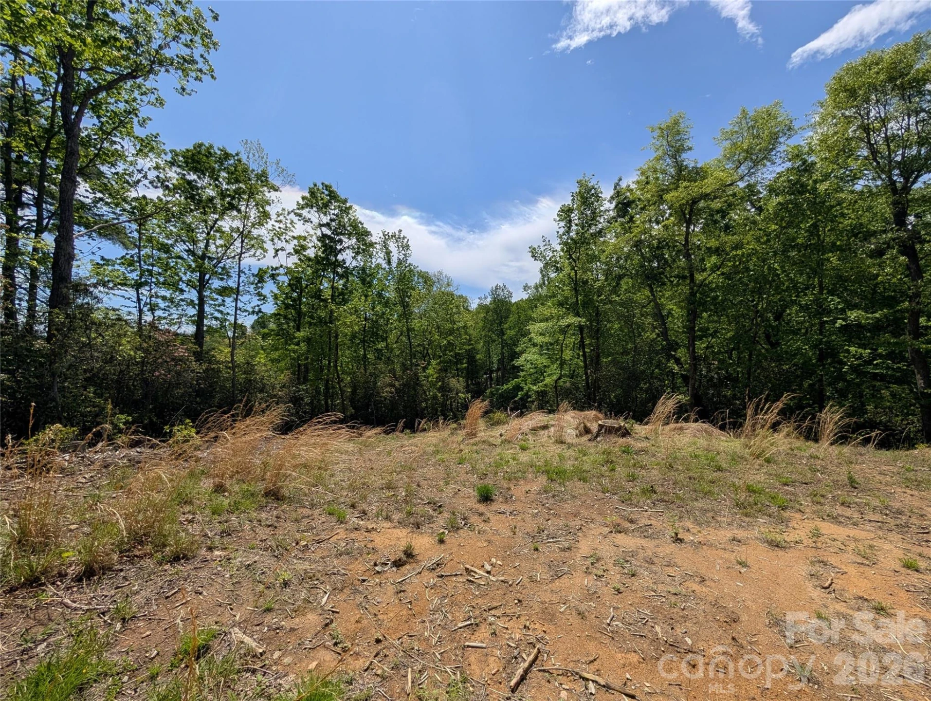 00 Winterberry Drive #54 - Photo 6