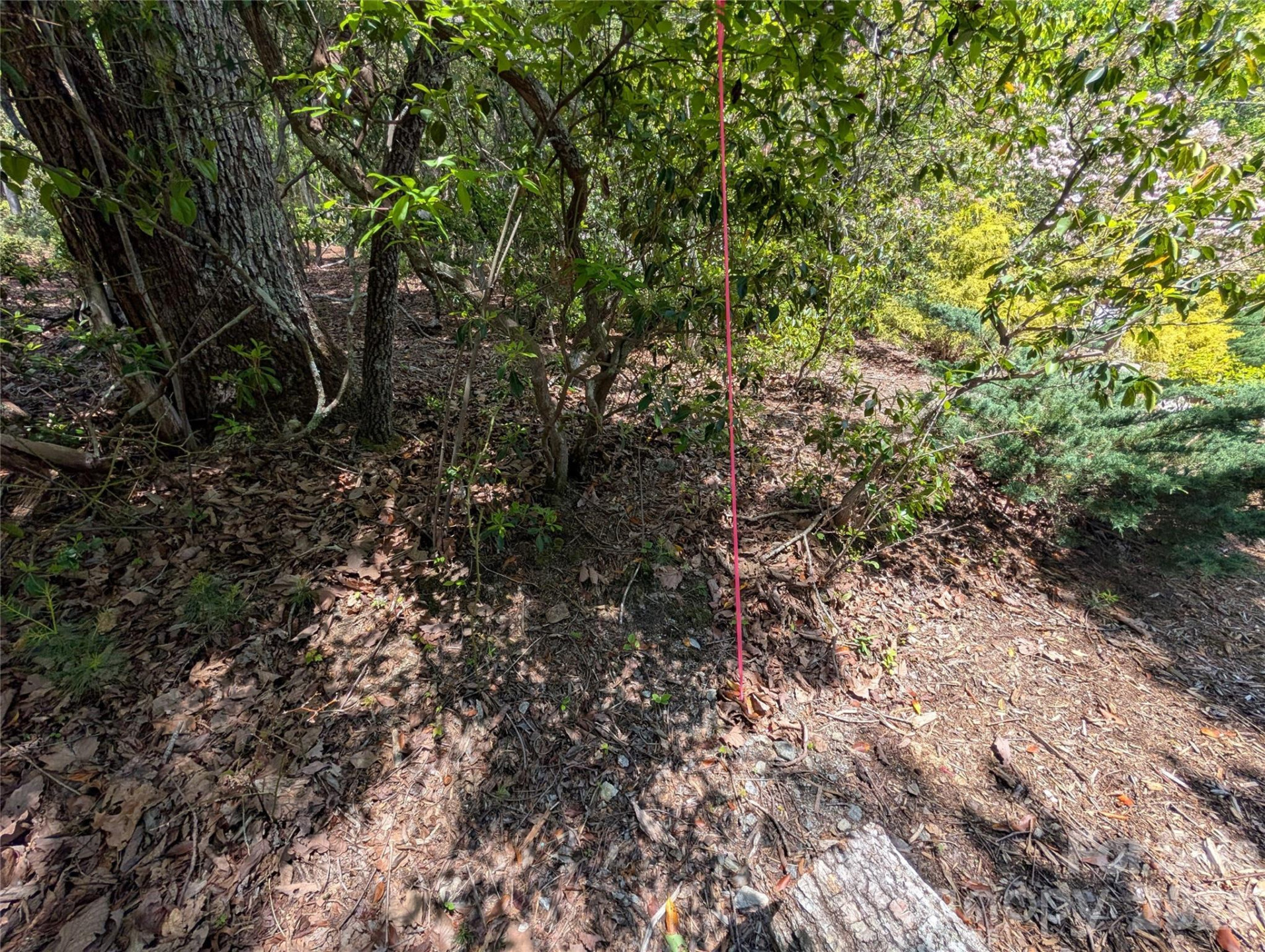 00 Winterberry Drive #54 - Photo 8