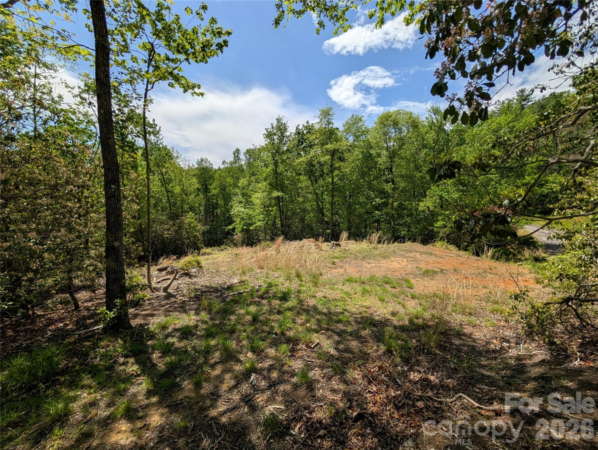 00 Winterberry Drive #54 - Photo 9