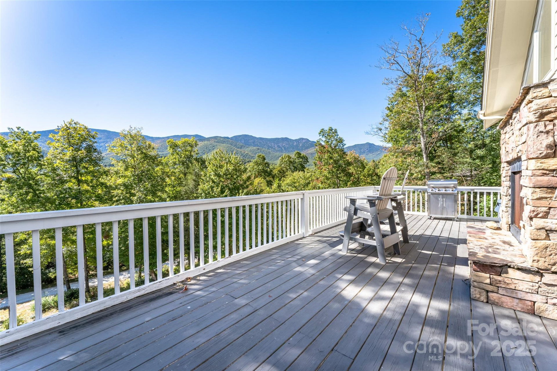 284 Mt. Mitchell Drive #2/1 - Photo 3