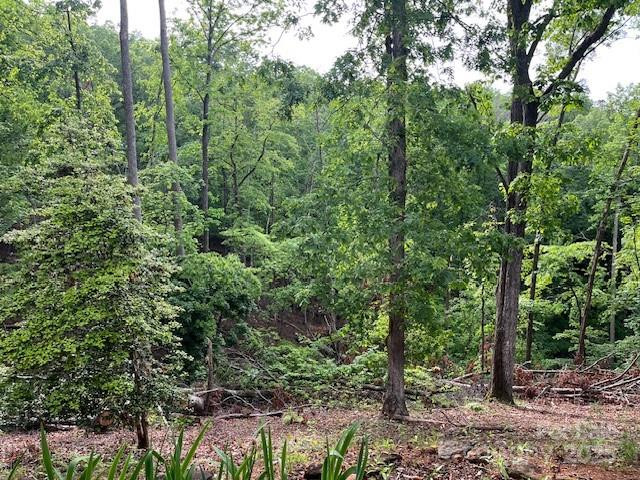 137 Amys Ridge Road - Photo 10