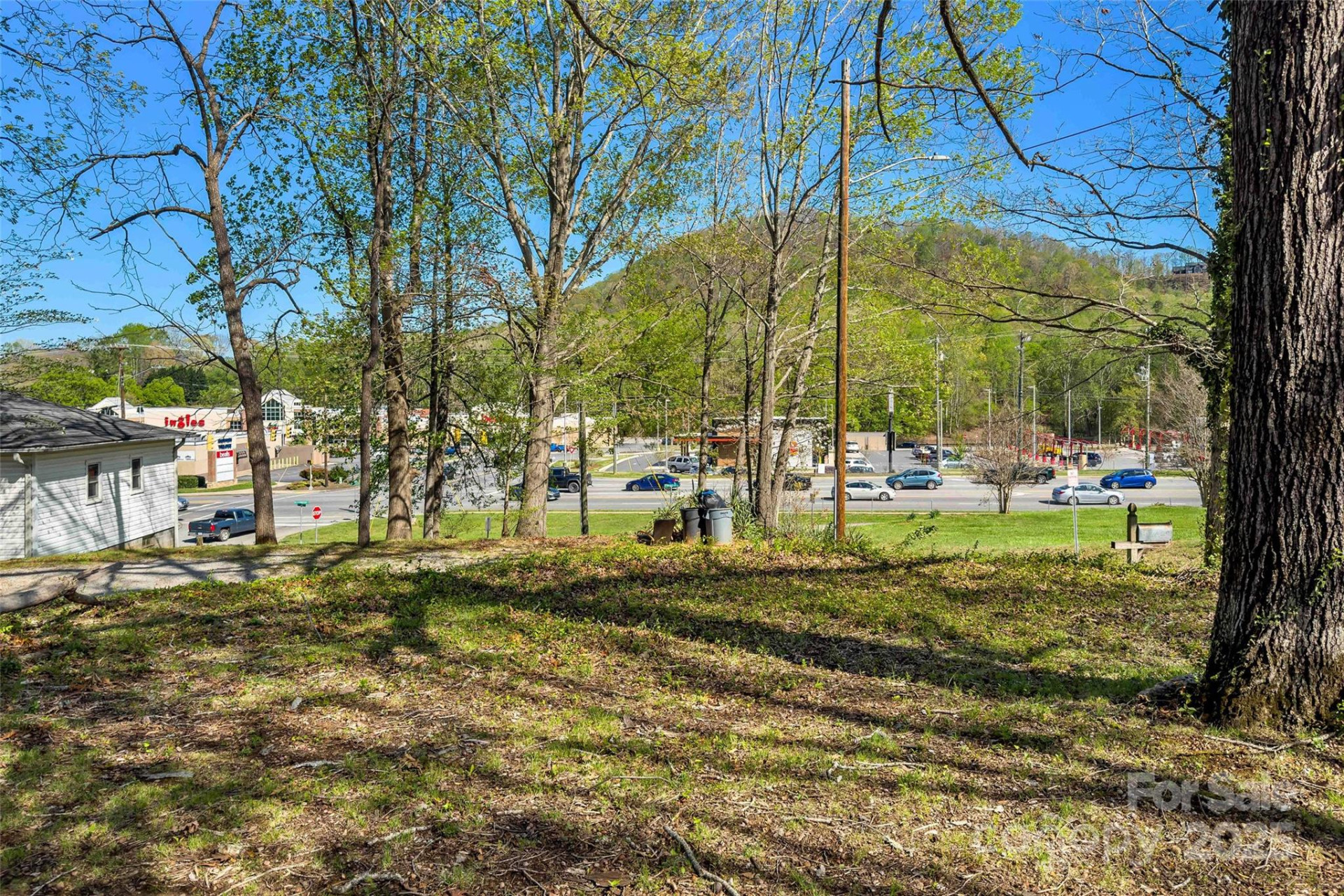 36 & 50 Catawba Avenue - Photo 11