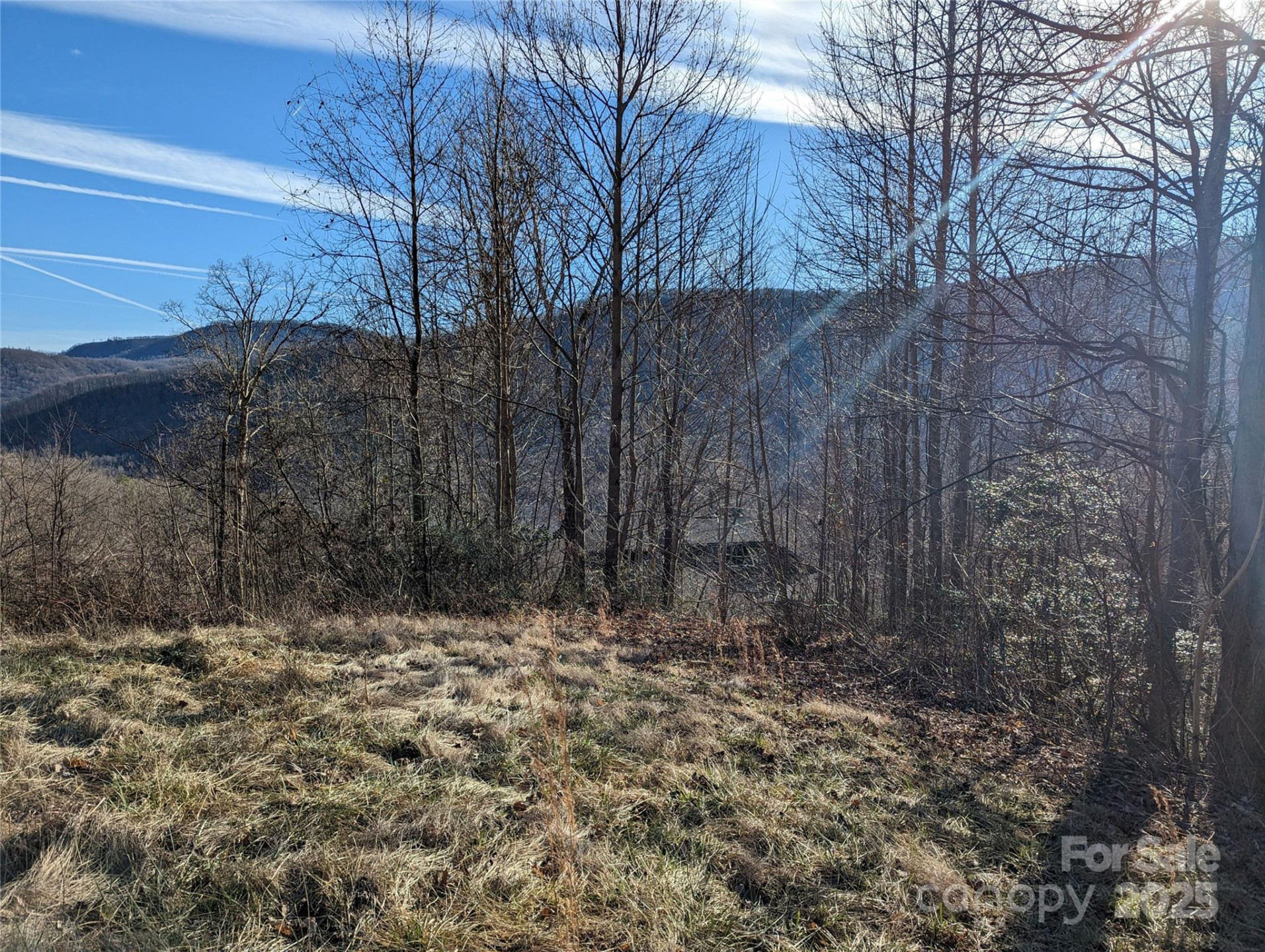 117 Ironwood Lane #C-20 - Photo 2