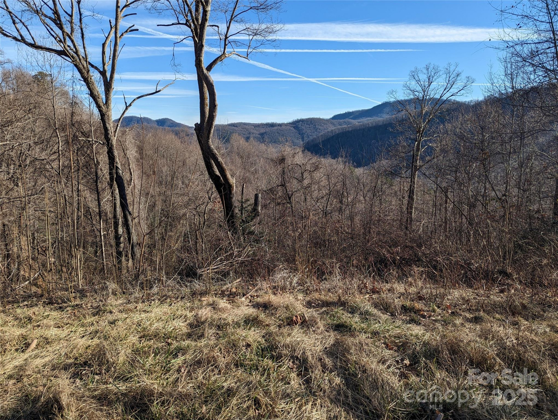 117 Ironwood Lane #C-20 - Photo 3