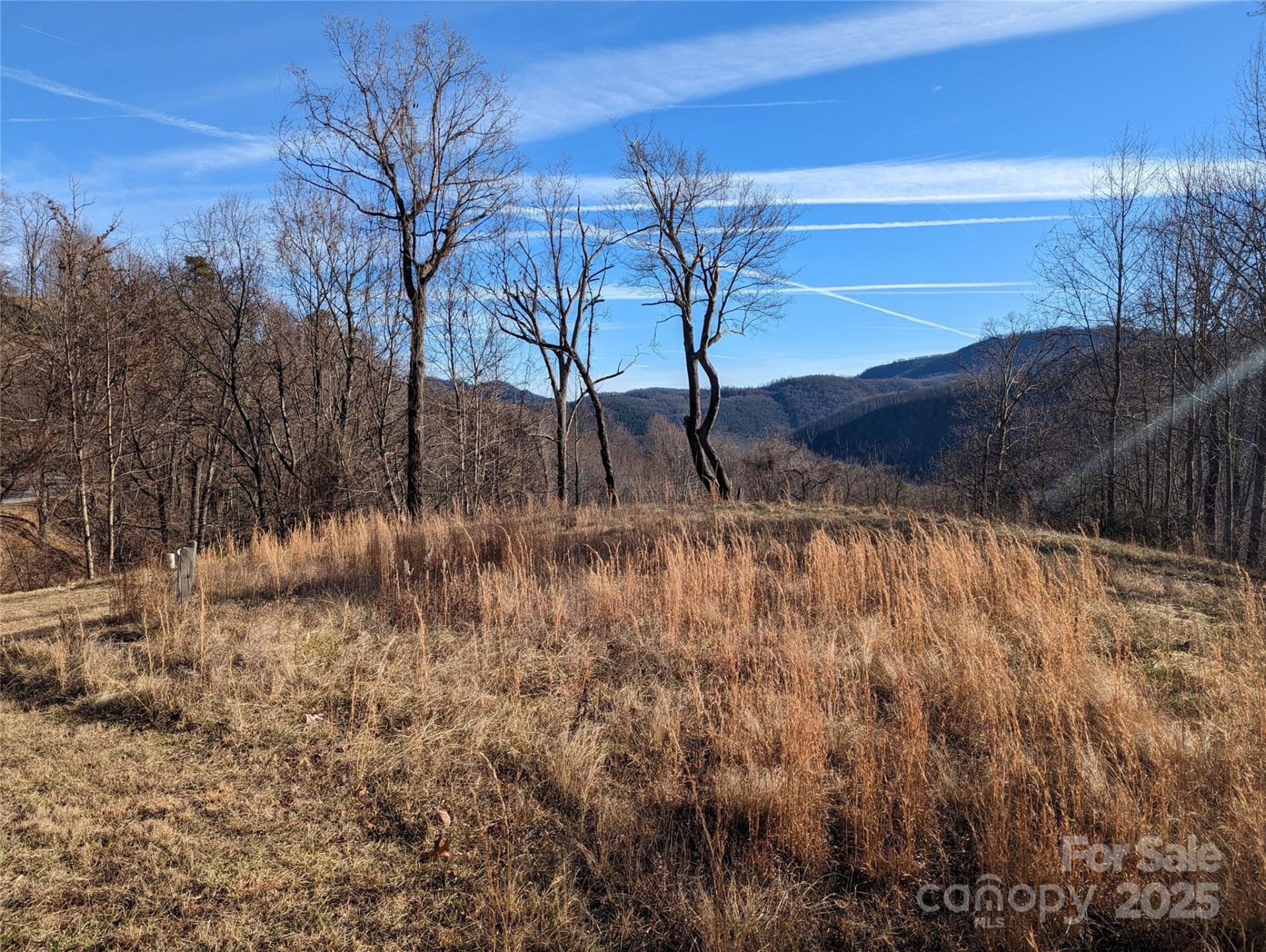 117 Ironwood Lane #C-20 - Photo 4