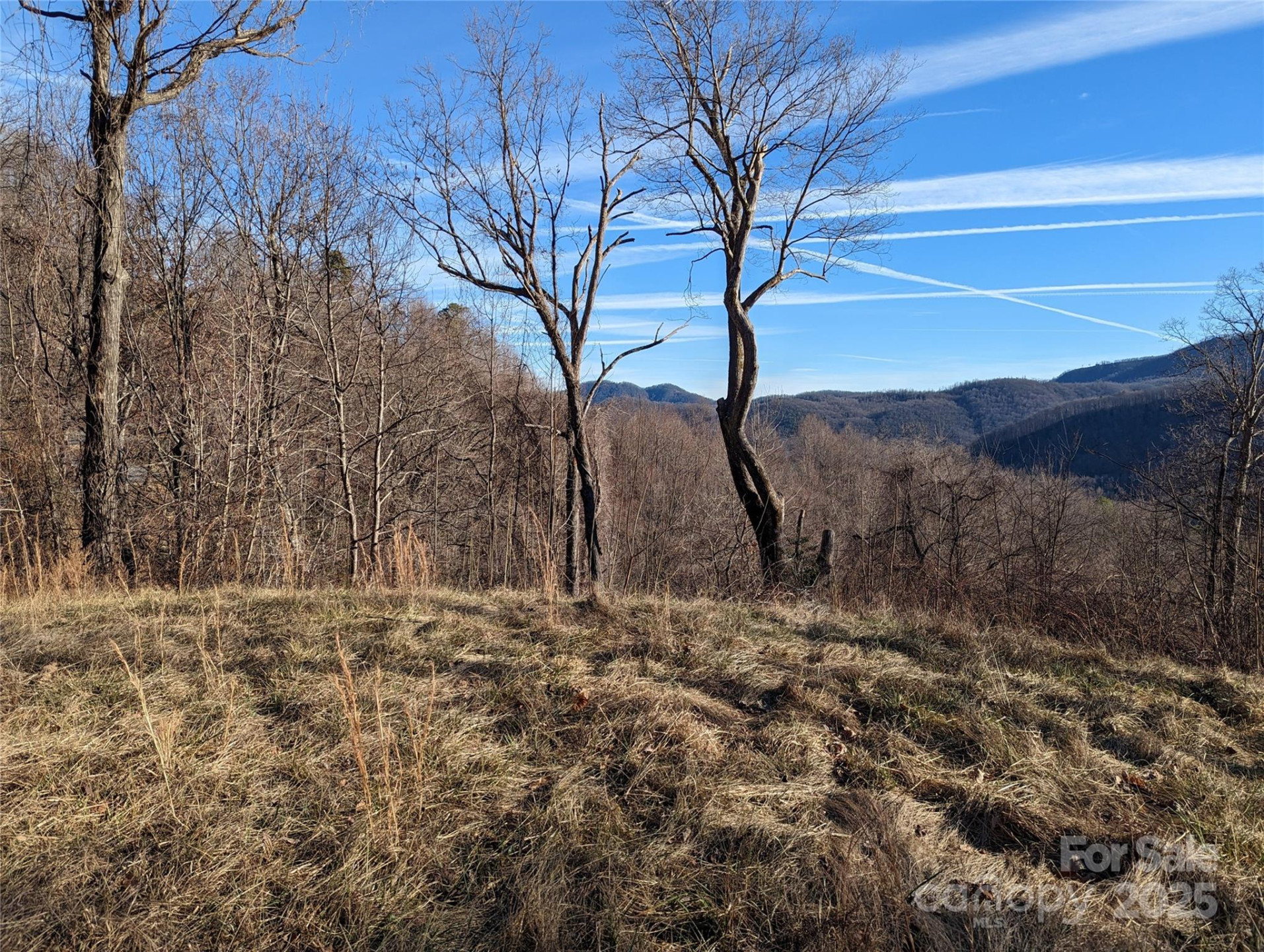 117 Ironwood Lane #C-20 - Photo 5